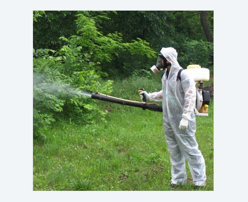 обработка территории от клещей в Теряево