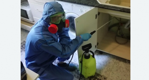 Уничтожение муравьев в квартире. Теряево
