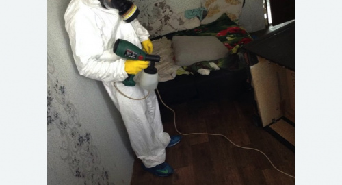 Обработка квартир от насекомых в Теряево