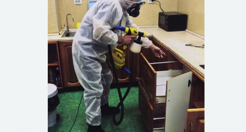 Дезинсекция квартиры. Теряево