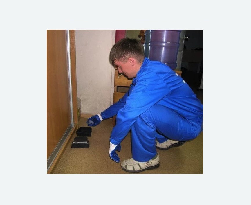 Дератизация крыс в Теряево