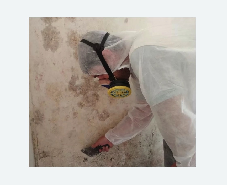 Обработка стен от плесени в Теряево