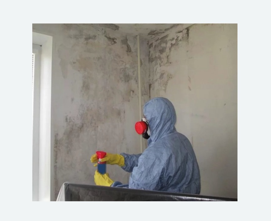 Удаление плесени в квартире в Теряево