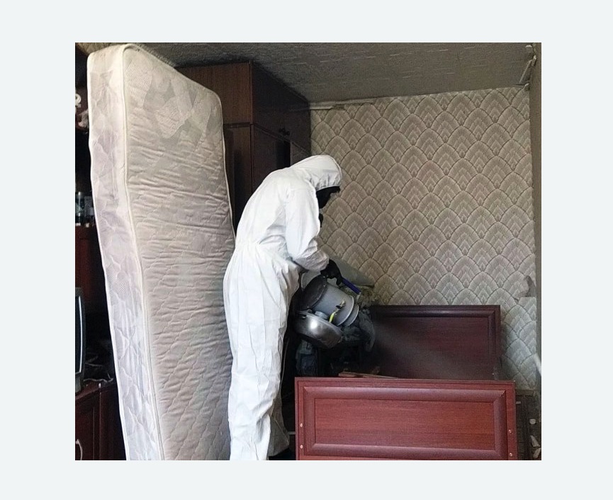 дезинфекция от клопов в Теряево