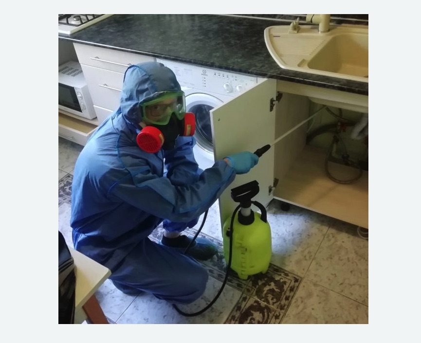 обработка от муравьев в квартире в Теряево