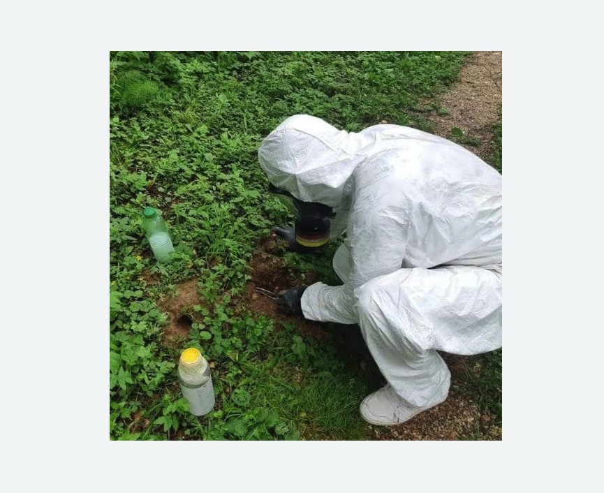 уничтожение кротов на участке в Теряево