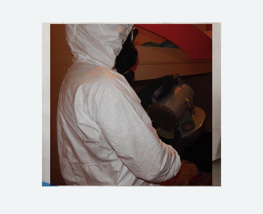 Дезинфекция от муравьев в Теряево