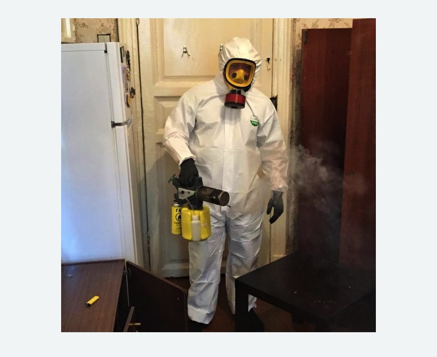 уничтожение муравьев в квартире в Теряево